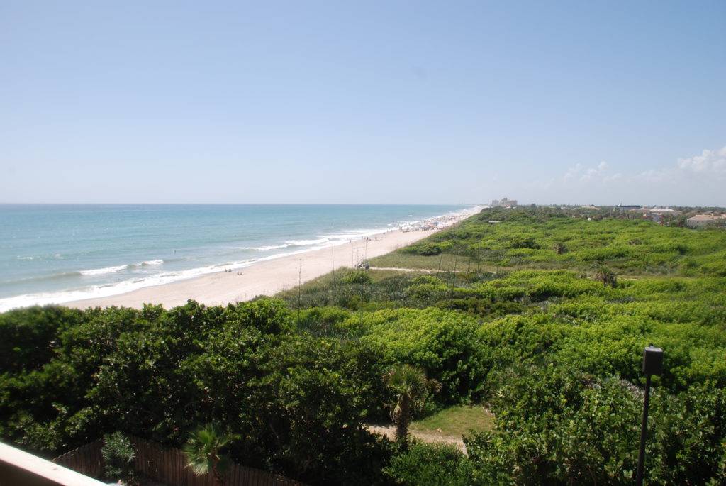 a beach with trees and a body of water