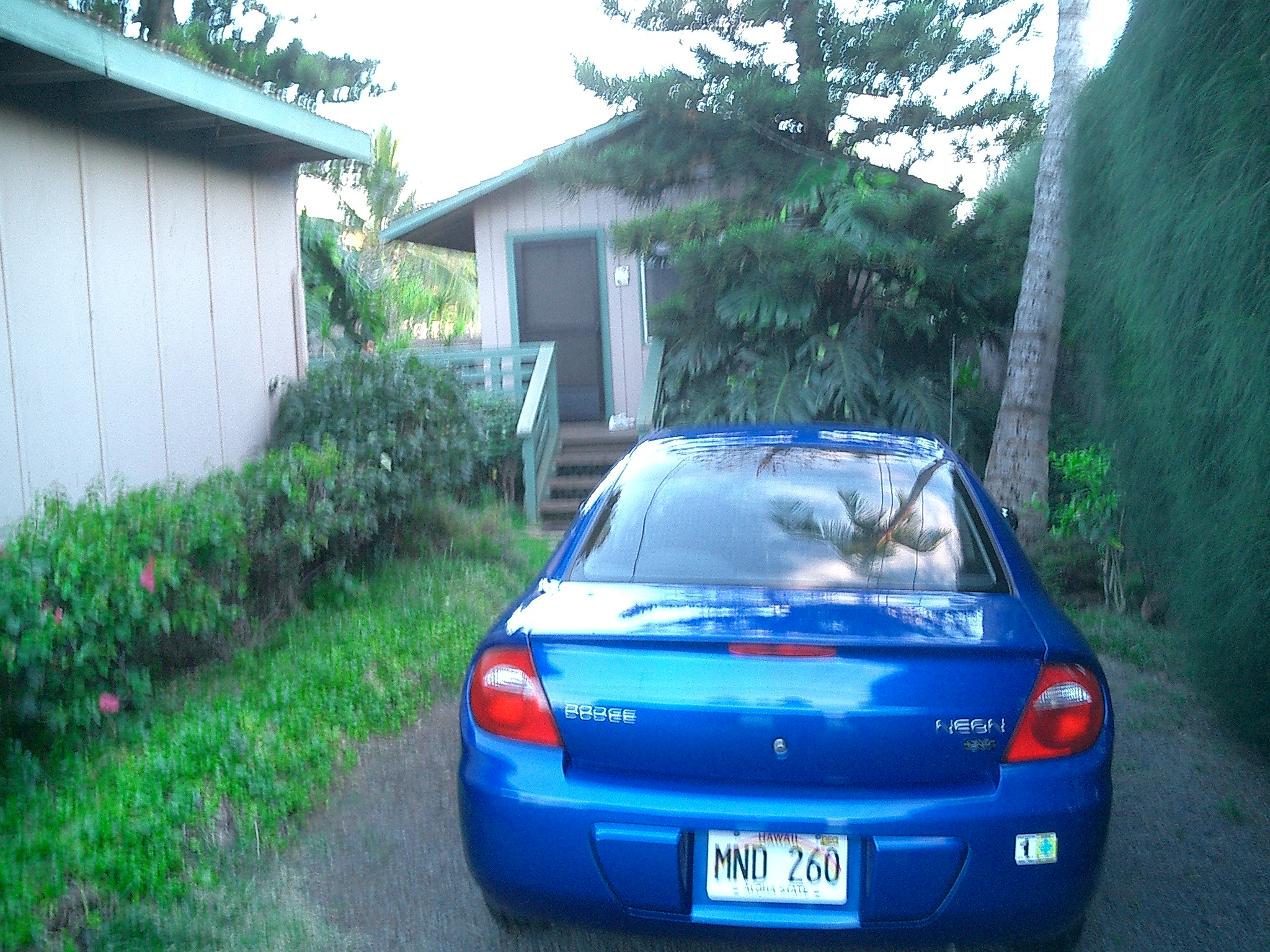 CIMG0700