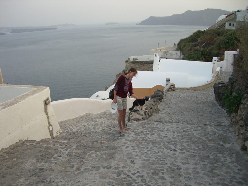 a person walking down a stone path with a cat on the side