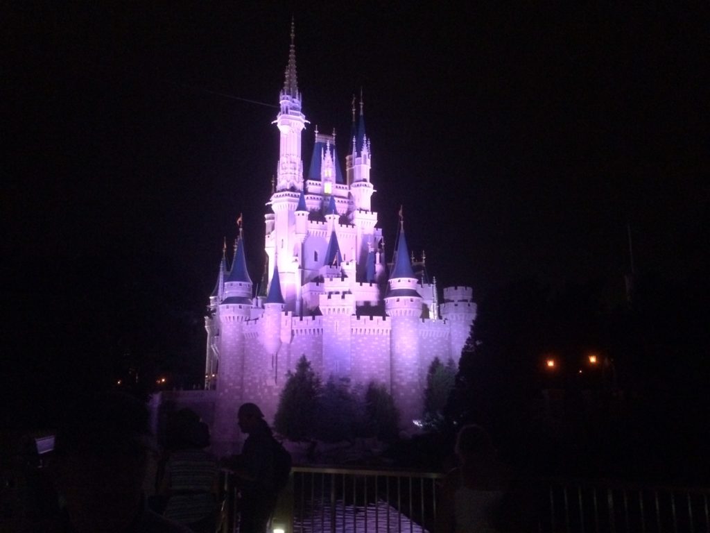 a castle lit up at night
