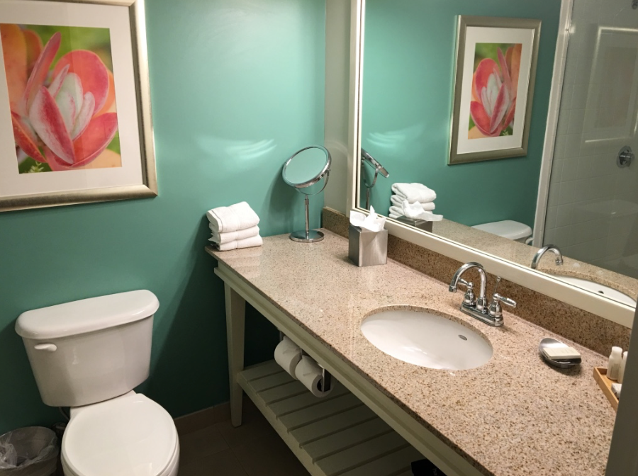 sarasota bathroom