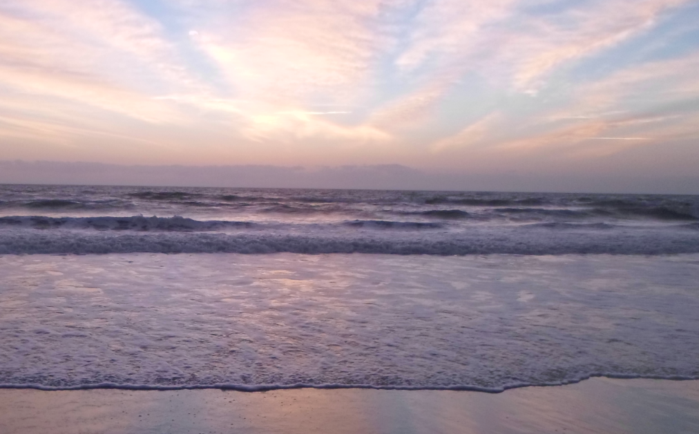 radisson sunrise