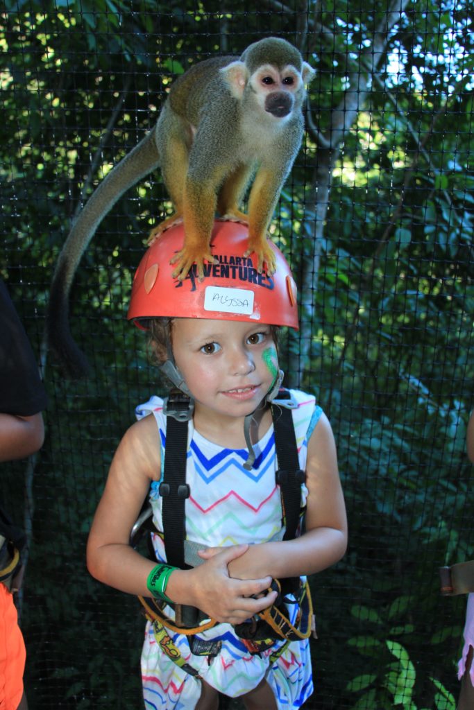 There's a monkey on my head!