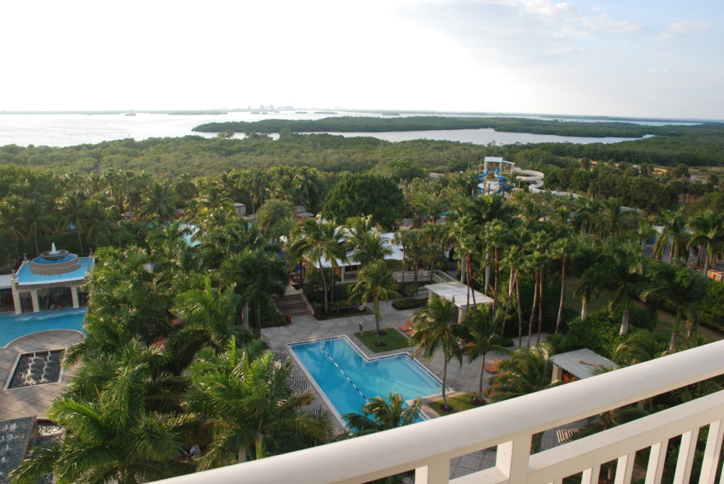 a pool surrounded by trees and water slides