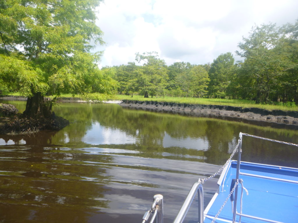 Airboat ride in Central Florida