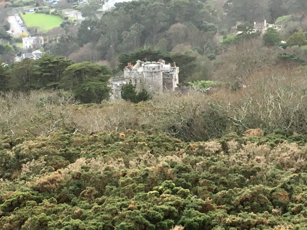 a castle in the woods