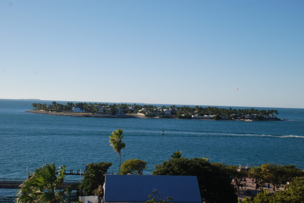 a body of water with trees and buildings