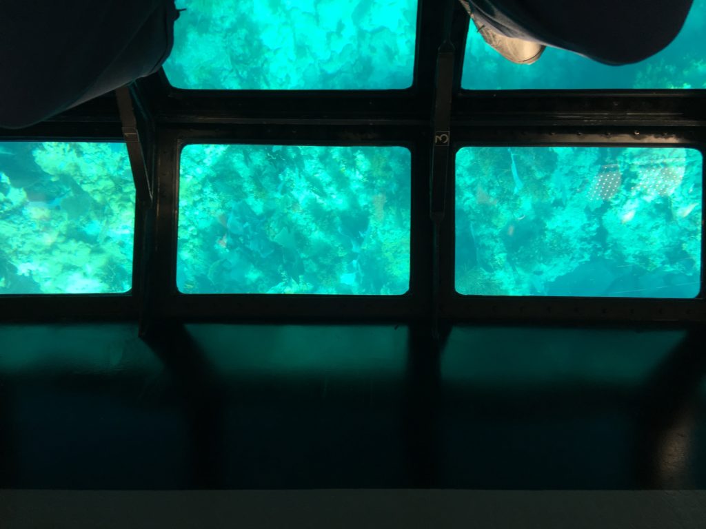 a window with a view of corals and water