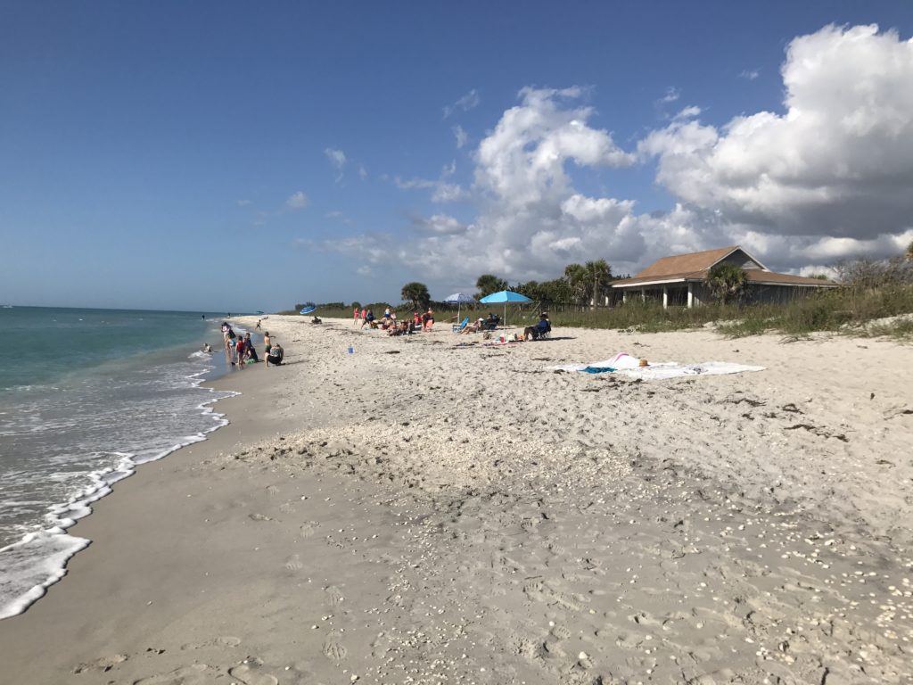 a beach with people on it