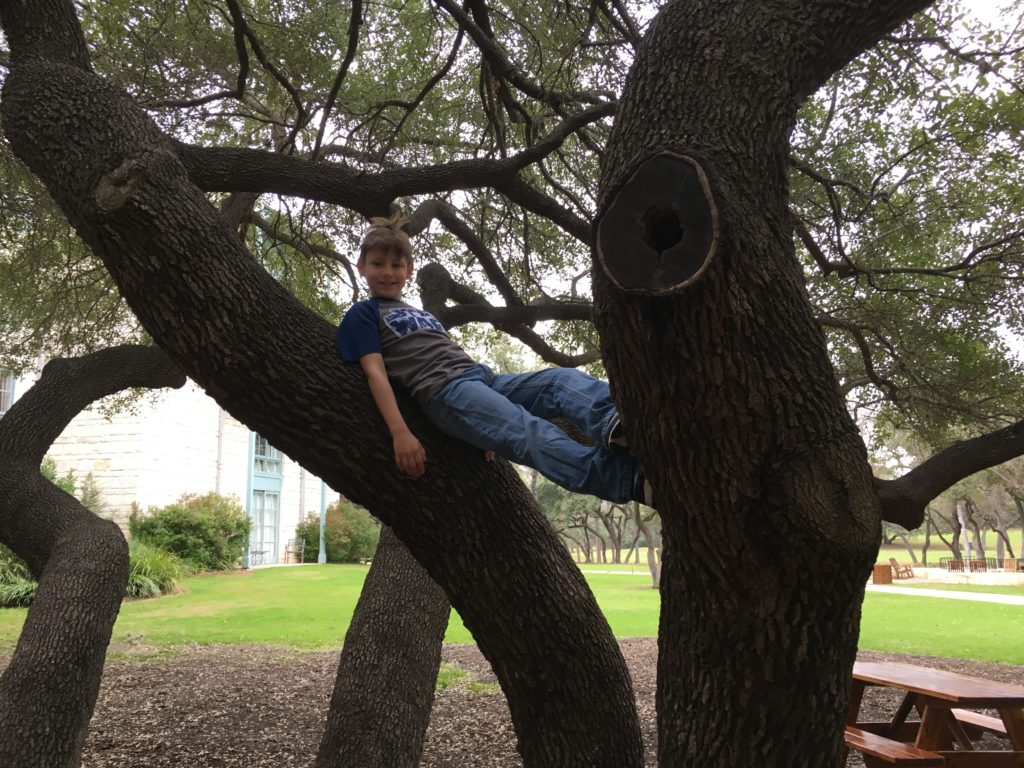 a boy lying on a tree