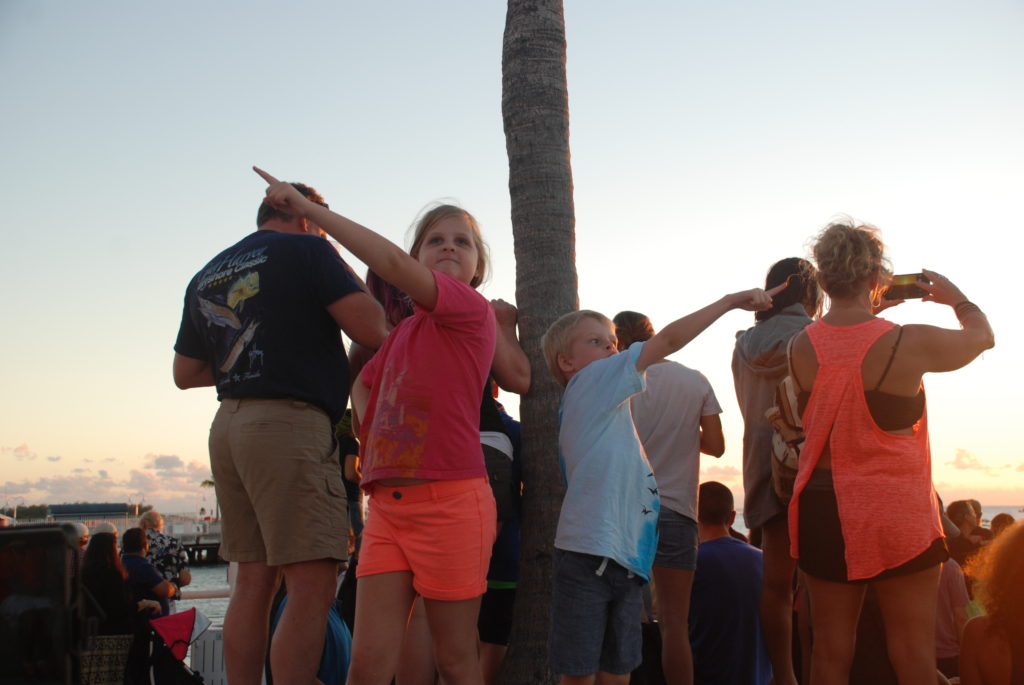 a group of people pointing at a tree
