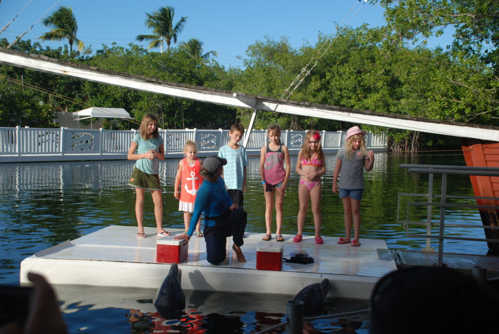 a group of children on a dock