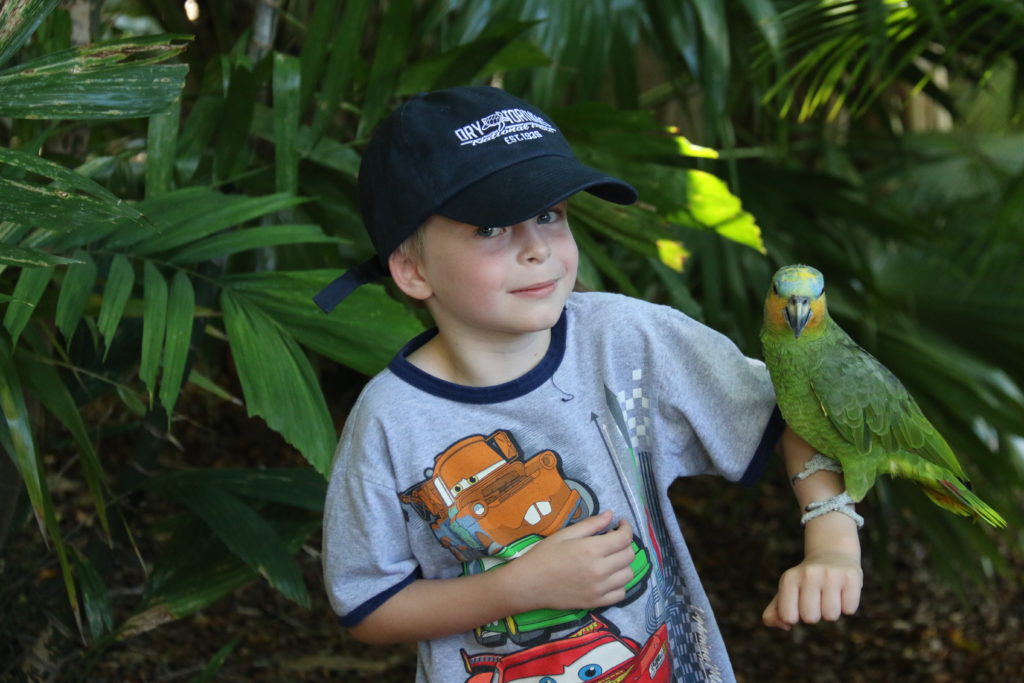 a boy holding a bird