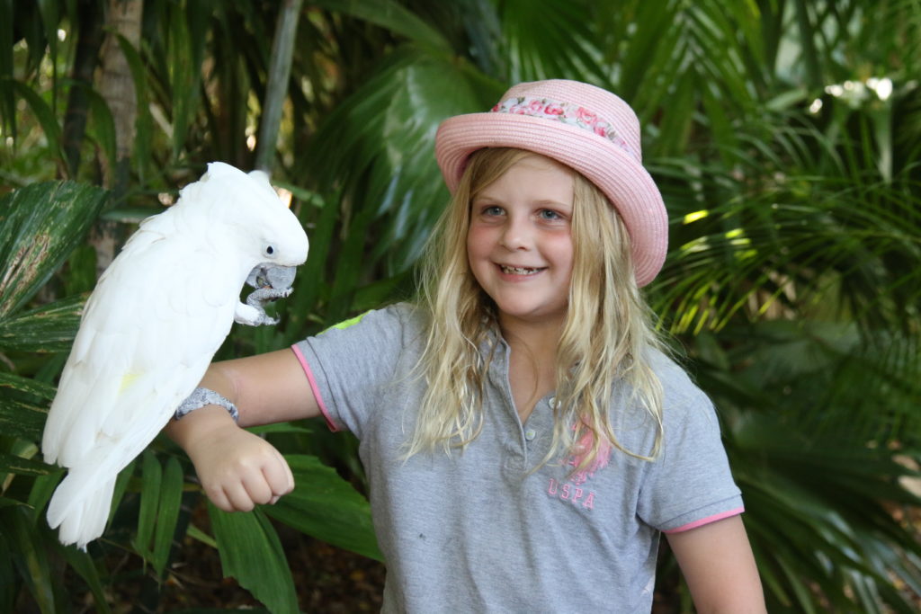 a girl with a white bird on her arm