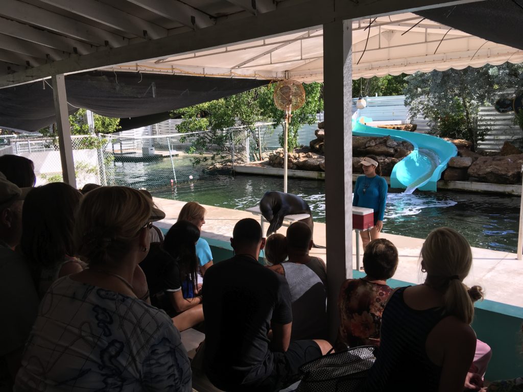 a group of people sitting in a room with a pool and a dolphin