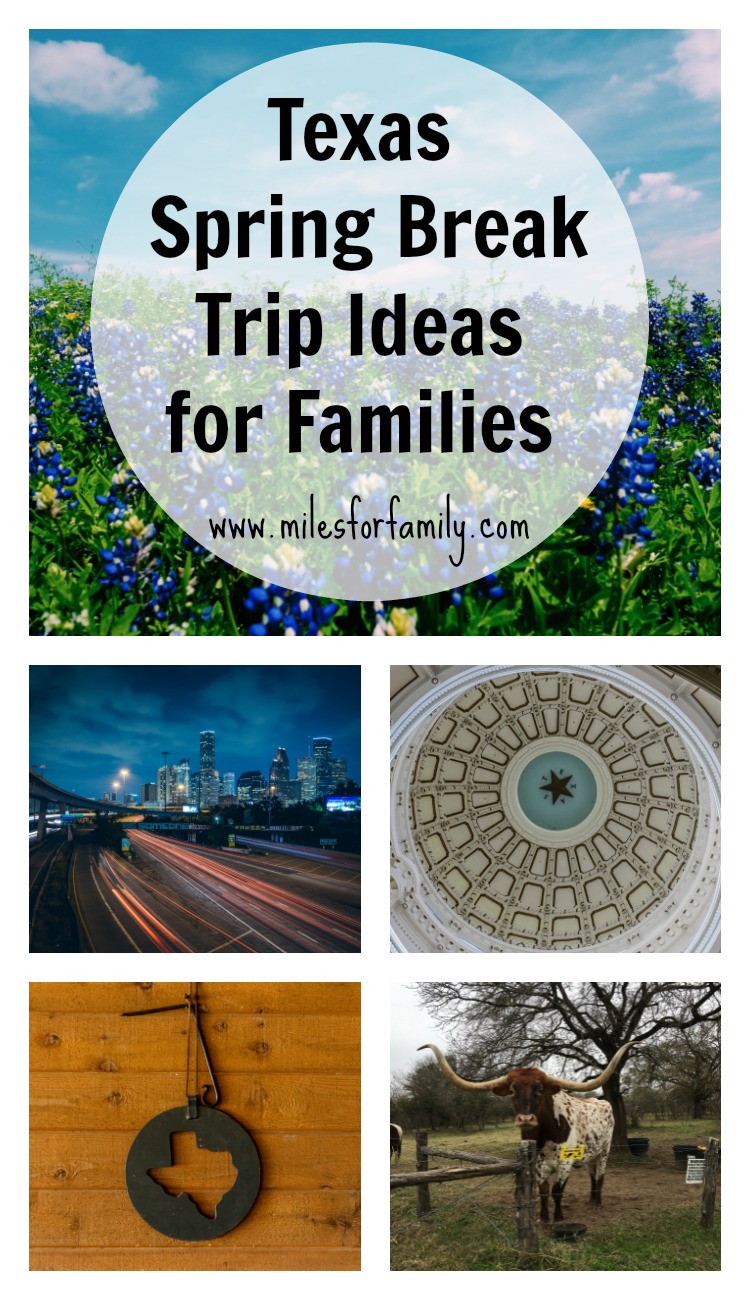 Spring Break Trip Ideas For Families