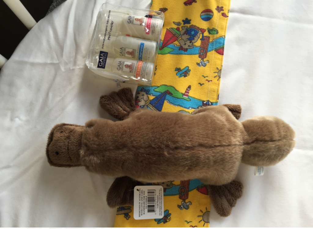 a stuffed animal and a towel