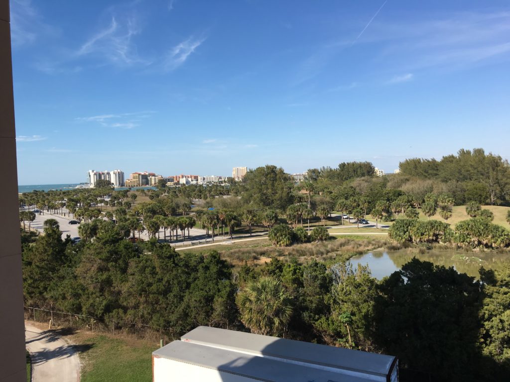 a view of a city from a high point