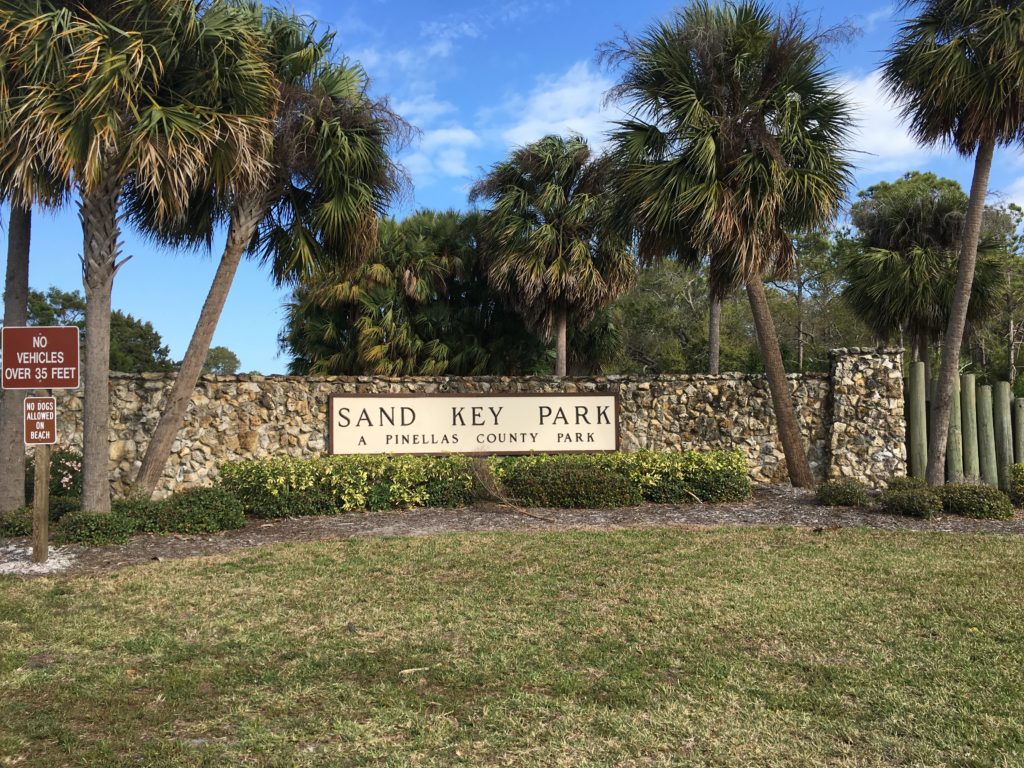 a sign on a stone wall with palm trees