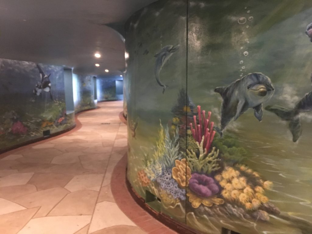 a mural of dolphins and fish on a wall