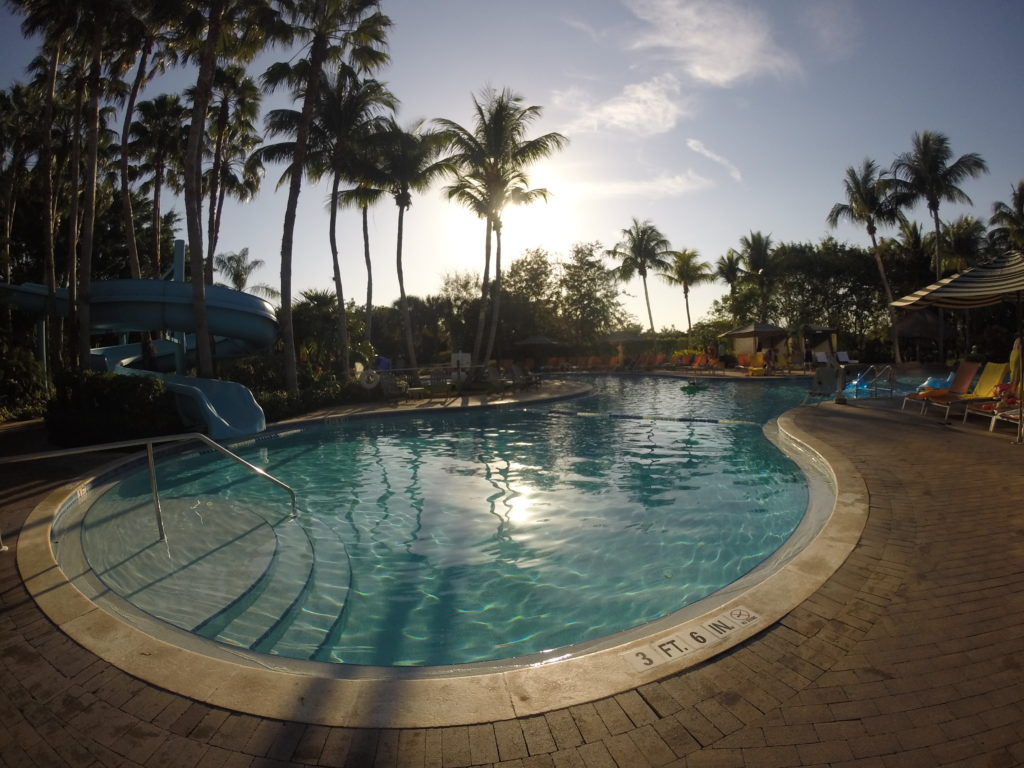 a pool with a slide and palm trees