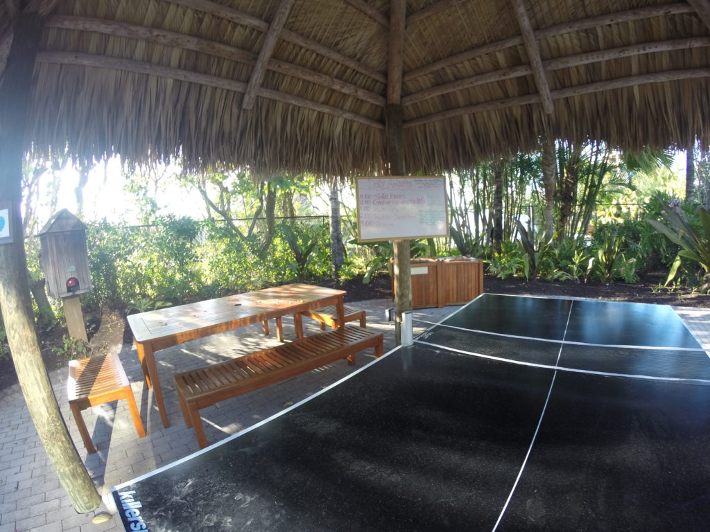 a table tennis court under a straw roof