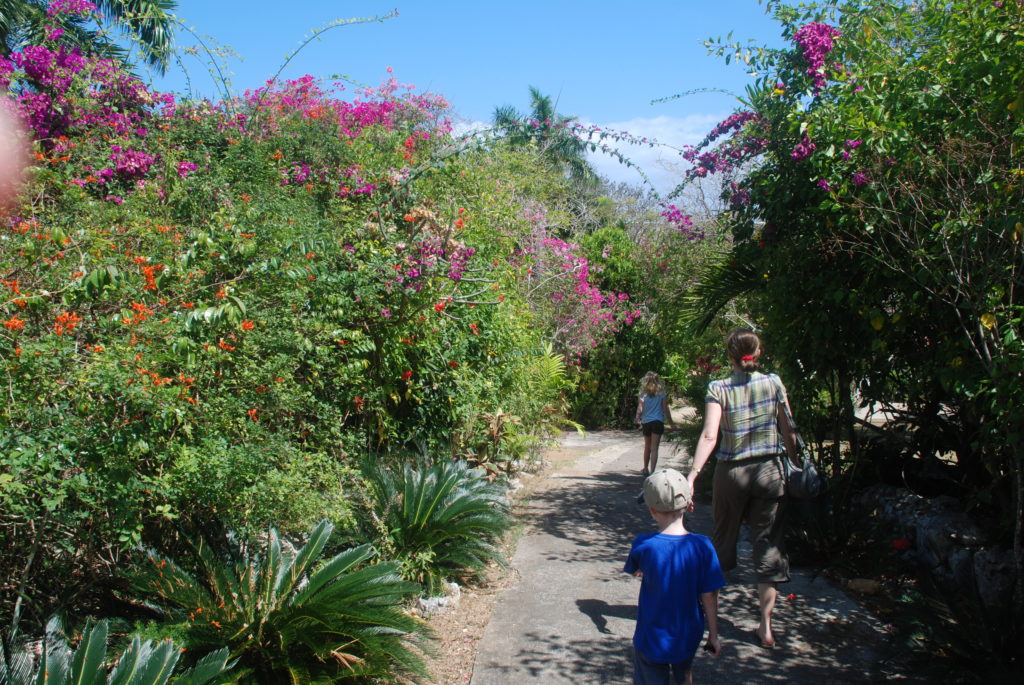 a woman and a boy walking down a path with flowers