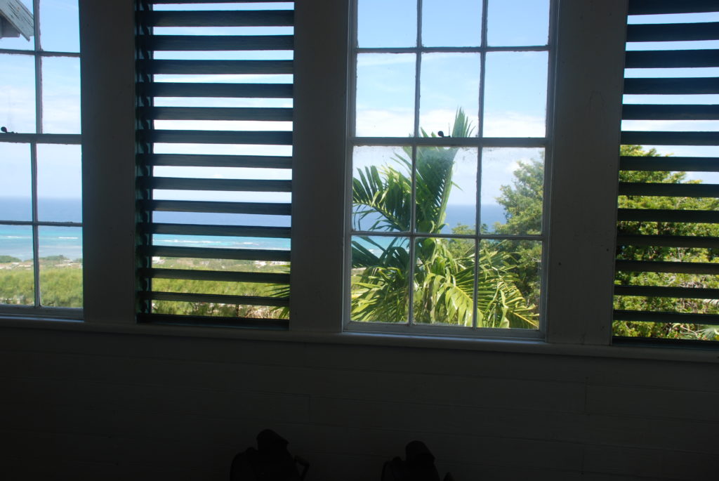a window with a view of the ocean and trees