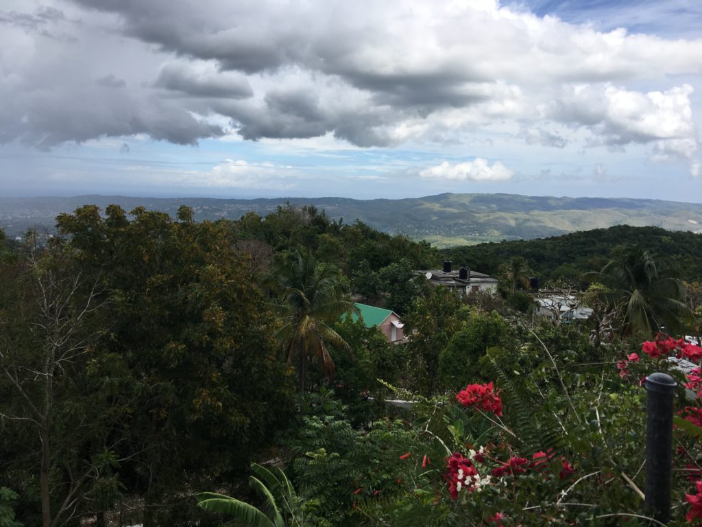 a landscape with trees and mountains