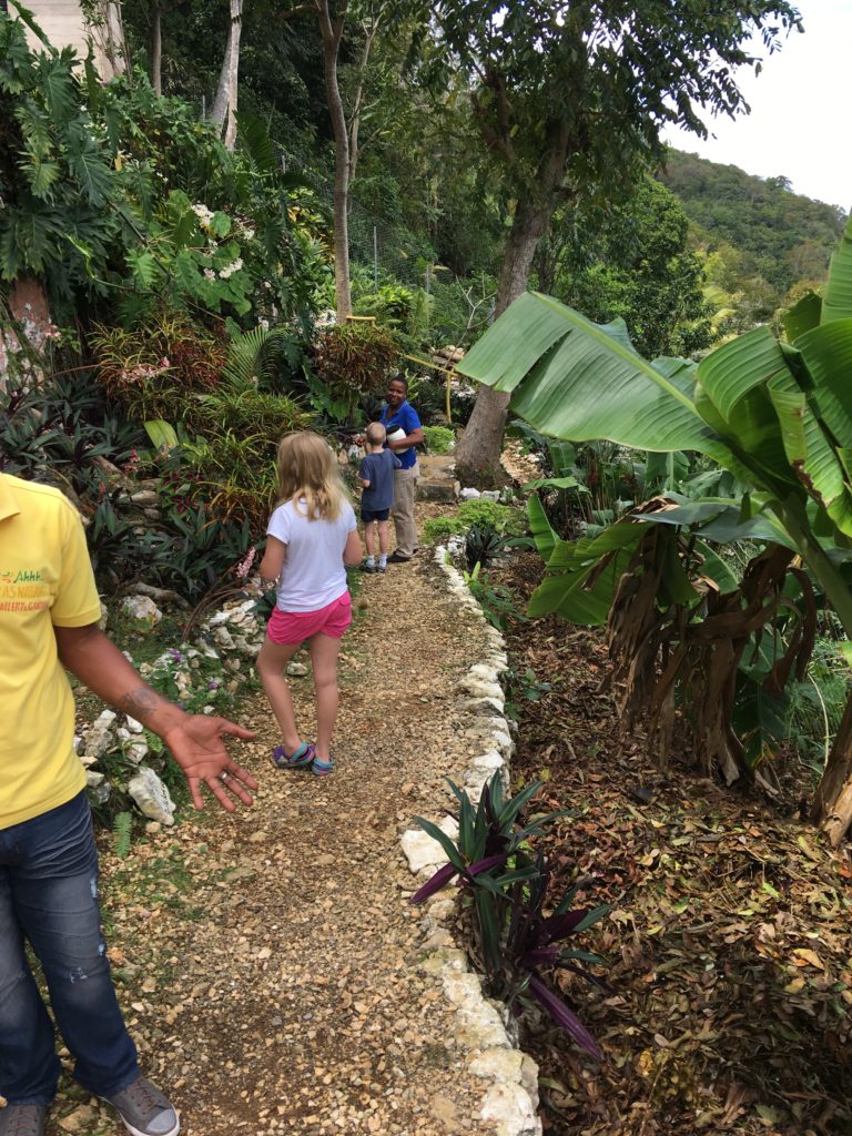a group of people walking on a path in a forest