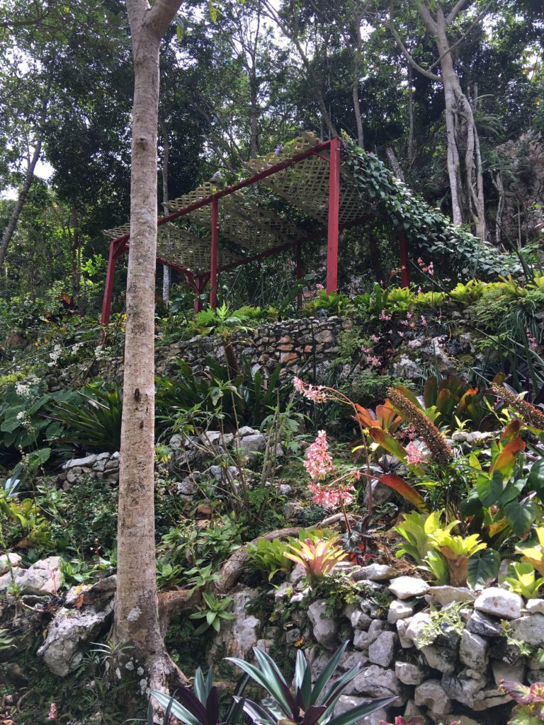 a covered structure in the woods