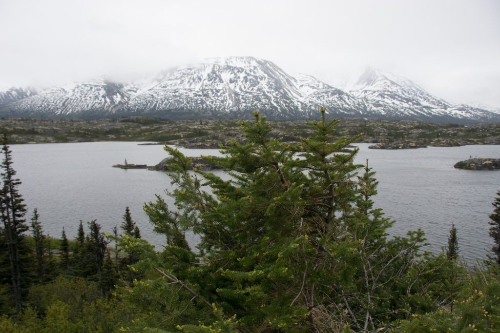a lake with trees and mountains in the background