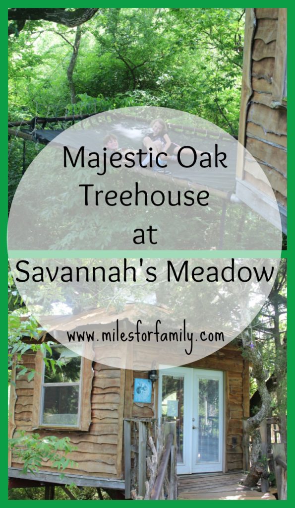 Unforgettable Night in Majestic Oak Treehouse at Savannah's Meadow