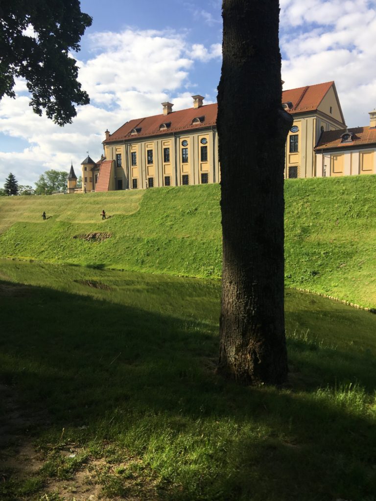 a tree in front of a building