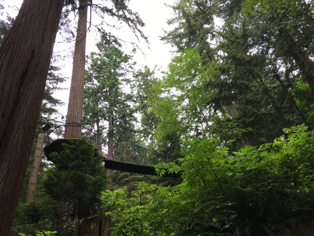 Texans in Alaska: Vancouver Part 2