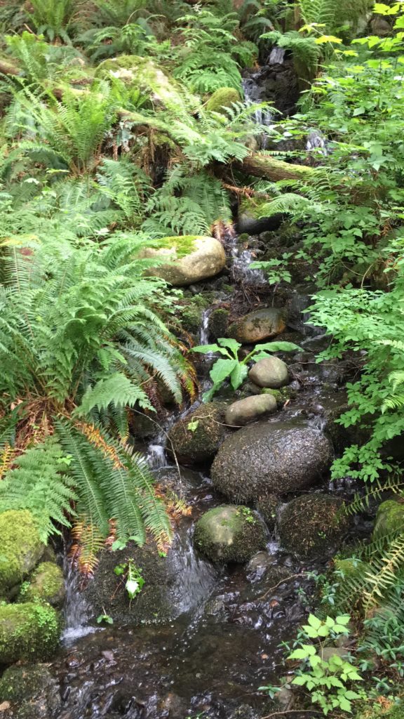 Texans in Alaska: Vancouver Part 2