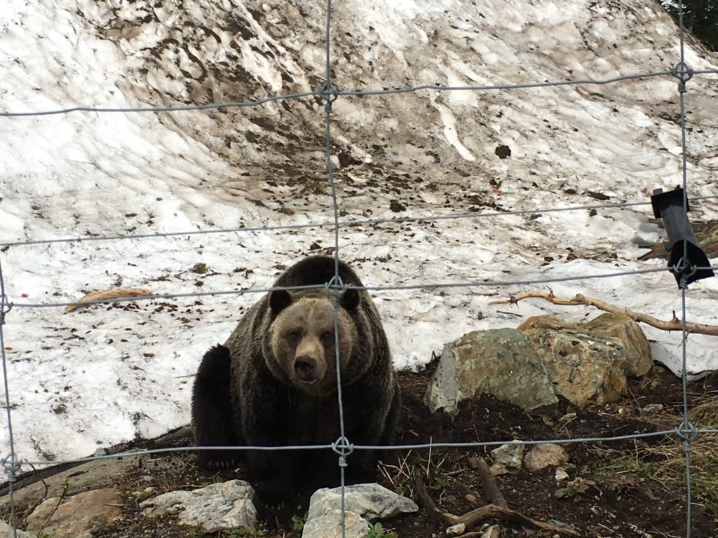 Texans in Alaska: Vancouver Part 2