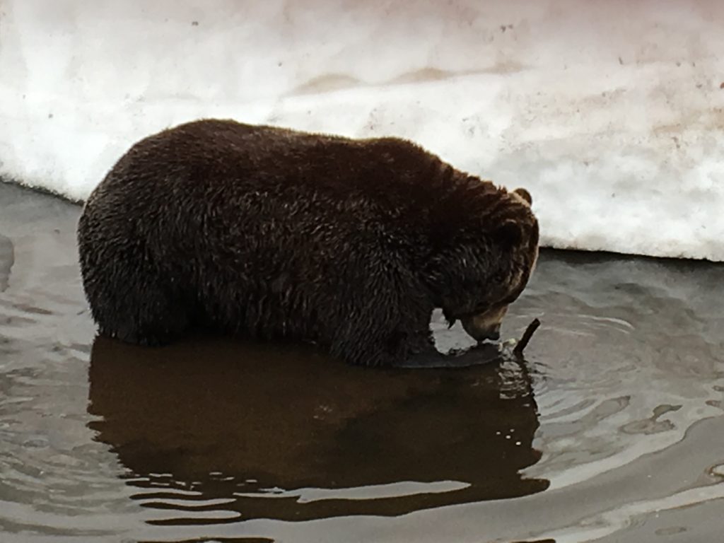 Texans in Alaska: Vancouver Part 2