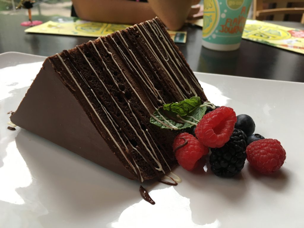 Texans in Alaska: Video and Hyatt Regency Vancouver Review