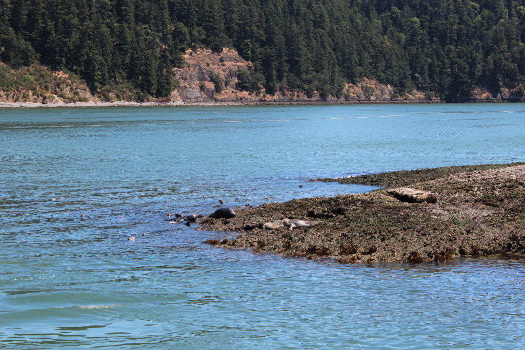 Texans in Alaska: Vancouver Part 2