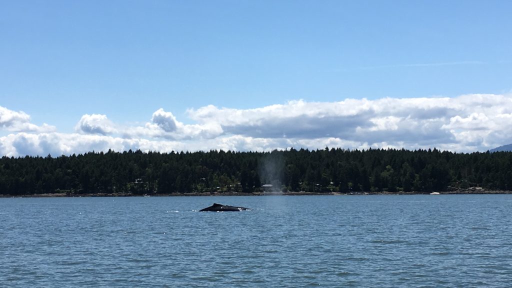 Texans in Alaska: Vancouver Part 2