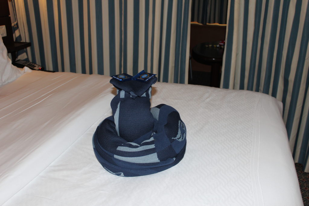 Texans in Alaska: Boarding the Disney Wonder to Alaska