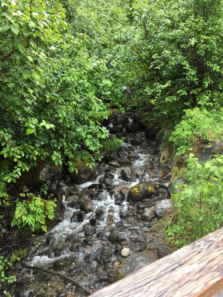 Texans in Alaska: Rainy Day in Juneau