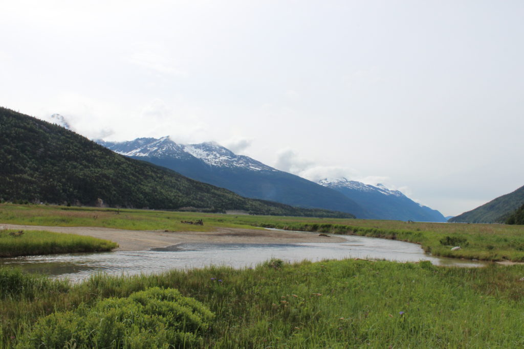 Texans in Alaska: Dog Sledding in Skagway