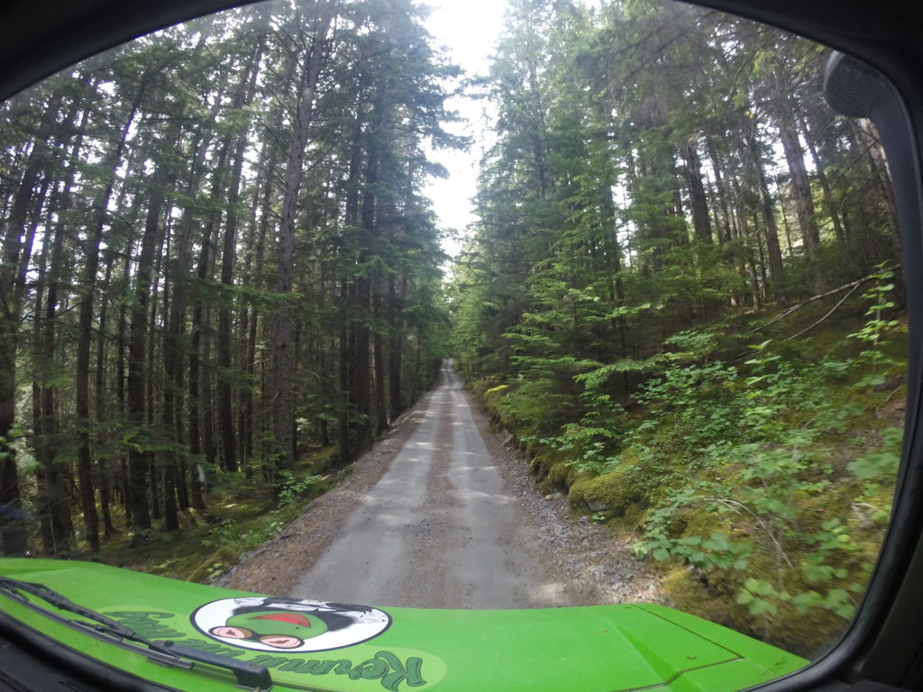 Texans in Alaska: Dog Sledding in Skagway