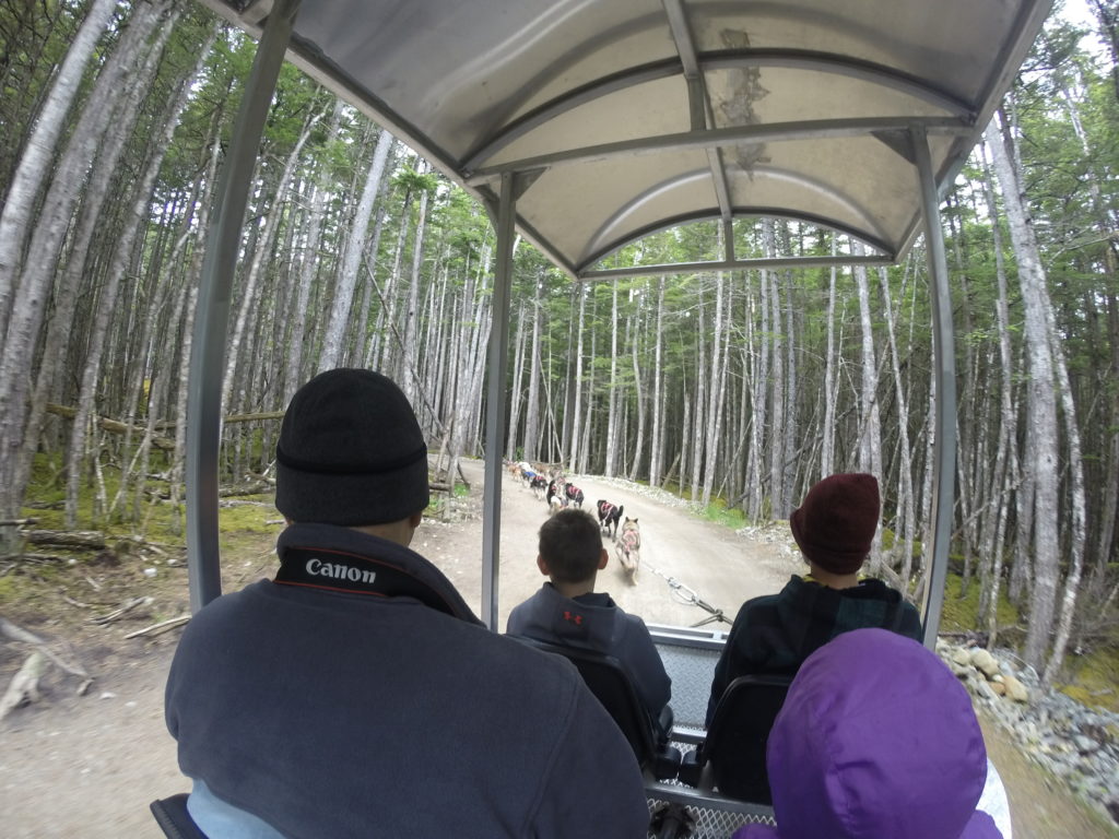 Texans in Alaska: Dog Sledding in Skagway