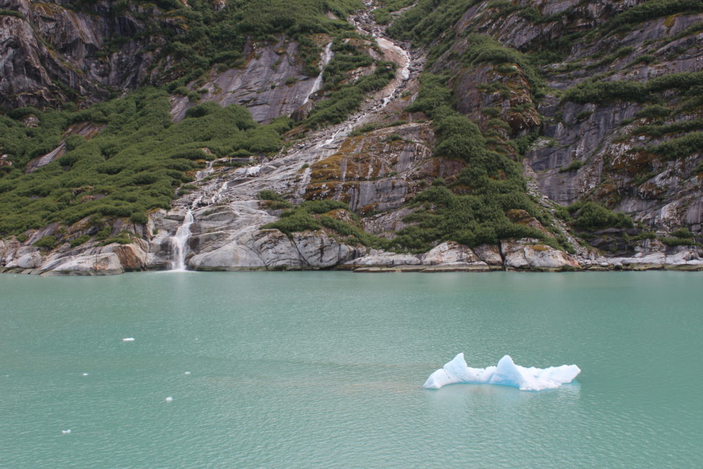 Texans in Alaska: Tracy Arm, Alaska