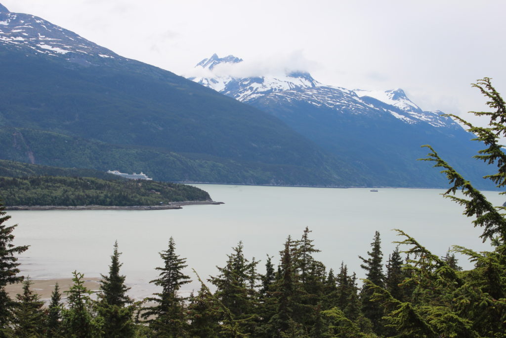 Texans in Alaska: Dog Sledding in Skagway