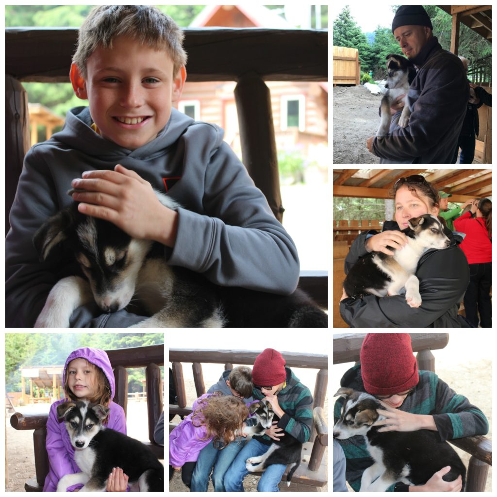 Texans in Alaska: Dog Sledding in Skagway