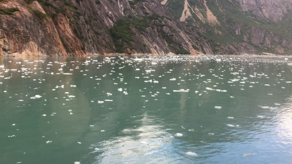 Texans in Alaska: Tracy Arm, Alaska